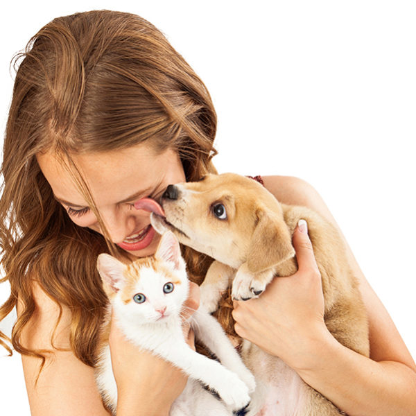 A pretty young girl holding a cute orange tabby kitten and an affectionate puppy that is licking her face as she is laughing