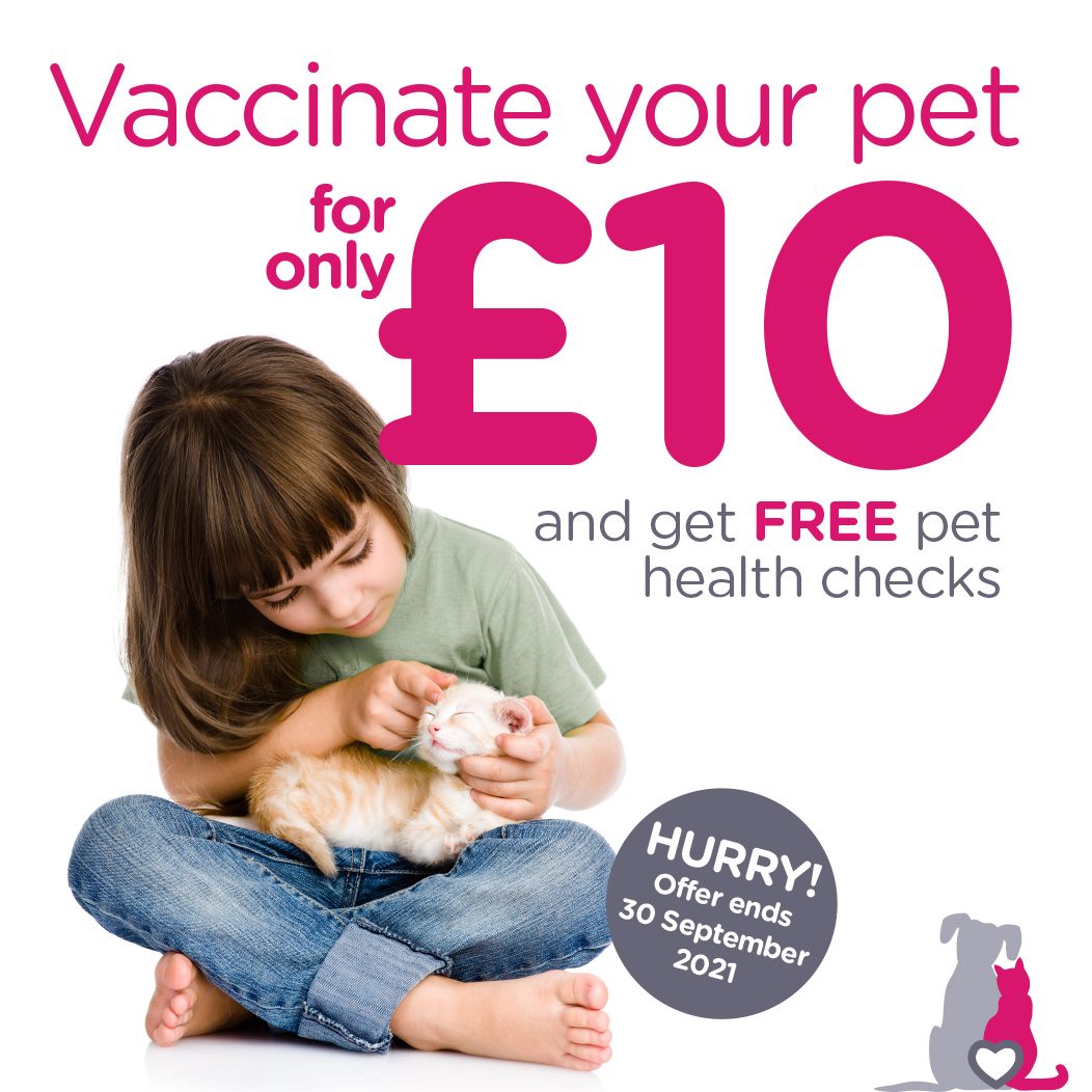 Special opening vaccination offer