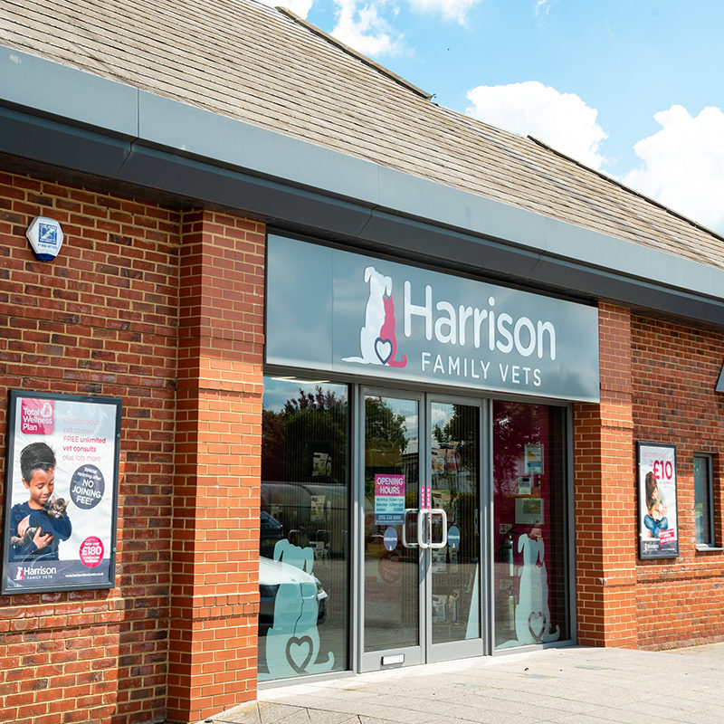 Registered Veterinary Nurse – Reading