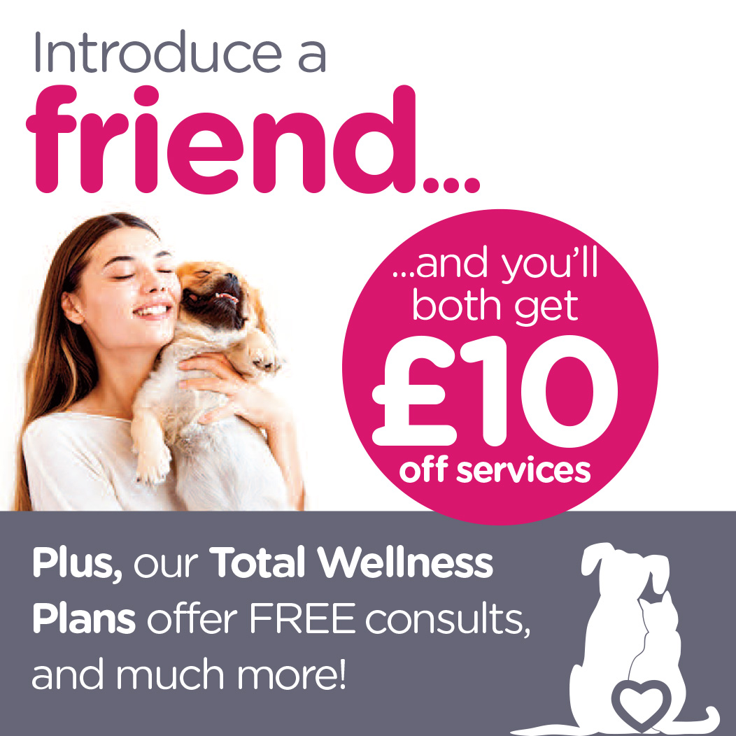 Introduce a friend and you'll both get £10 off