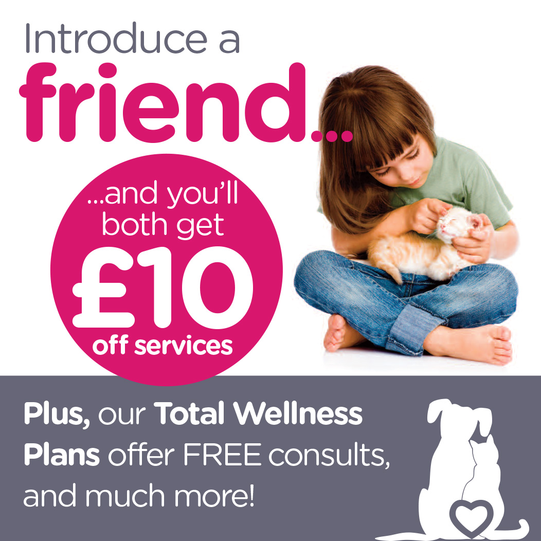 Introduce a friend and you'll both get £10 off