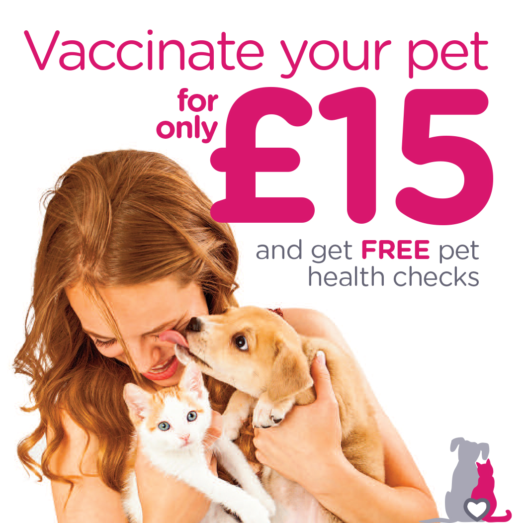 Special opening vaccination offer