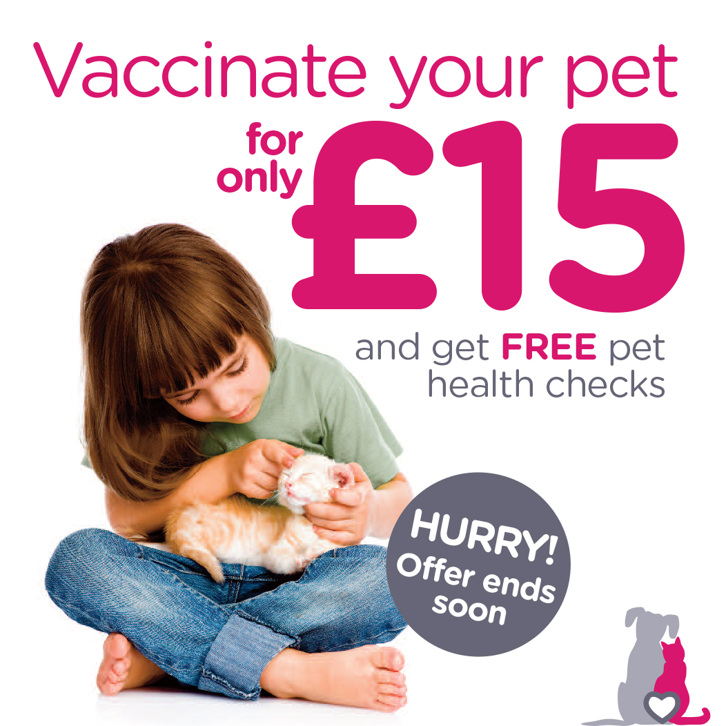 Special opening vaccination offer