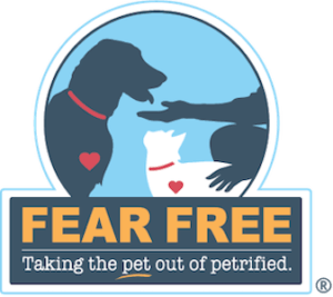 Fear FREE Practice