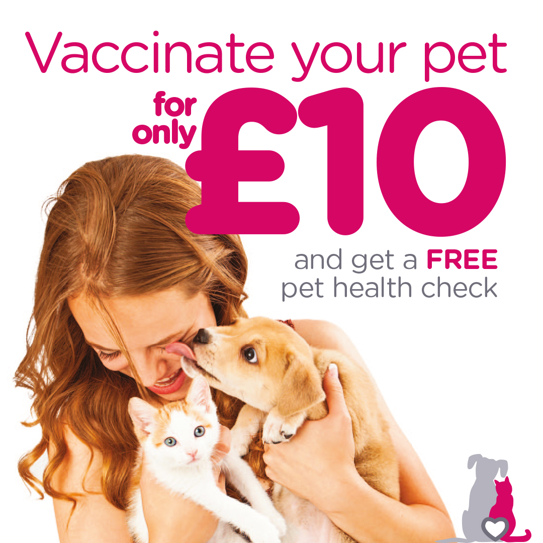 Pet shots shop near me today