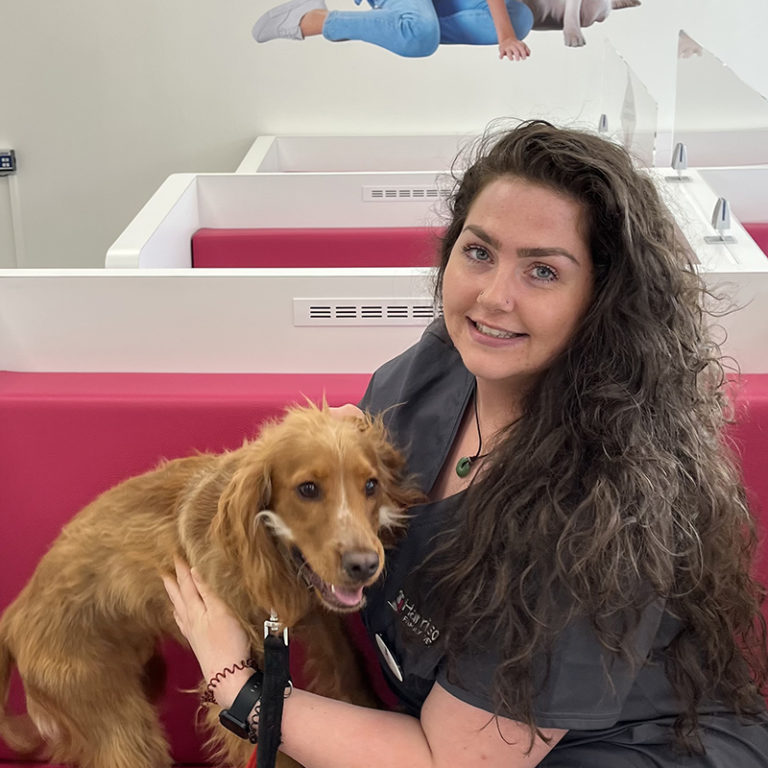 Doncaster harrisonfamilyvets