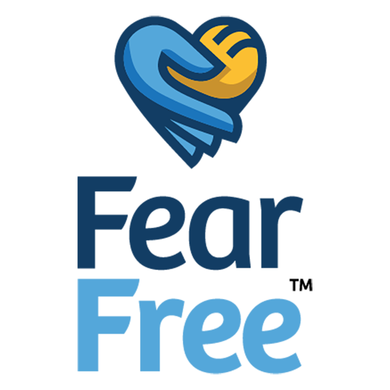 Fear FREE Practice