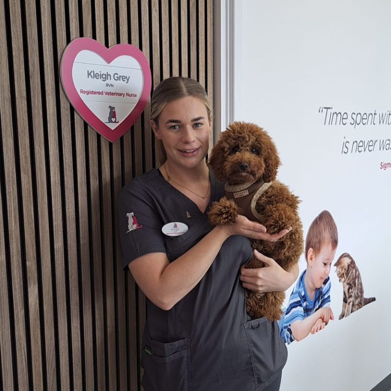 K’leigh harrisonfamilyvets