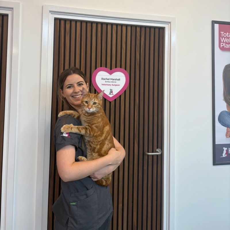 Rachel holding her cat
